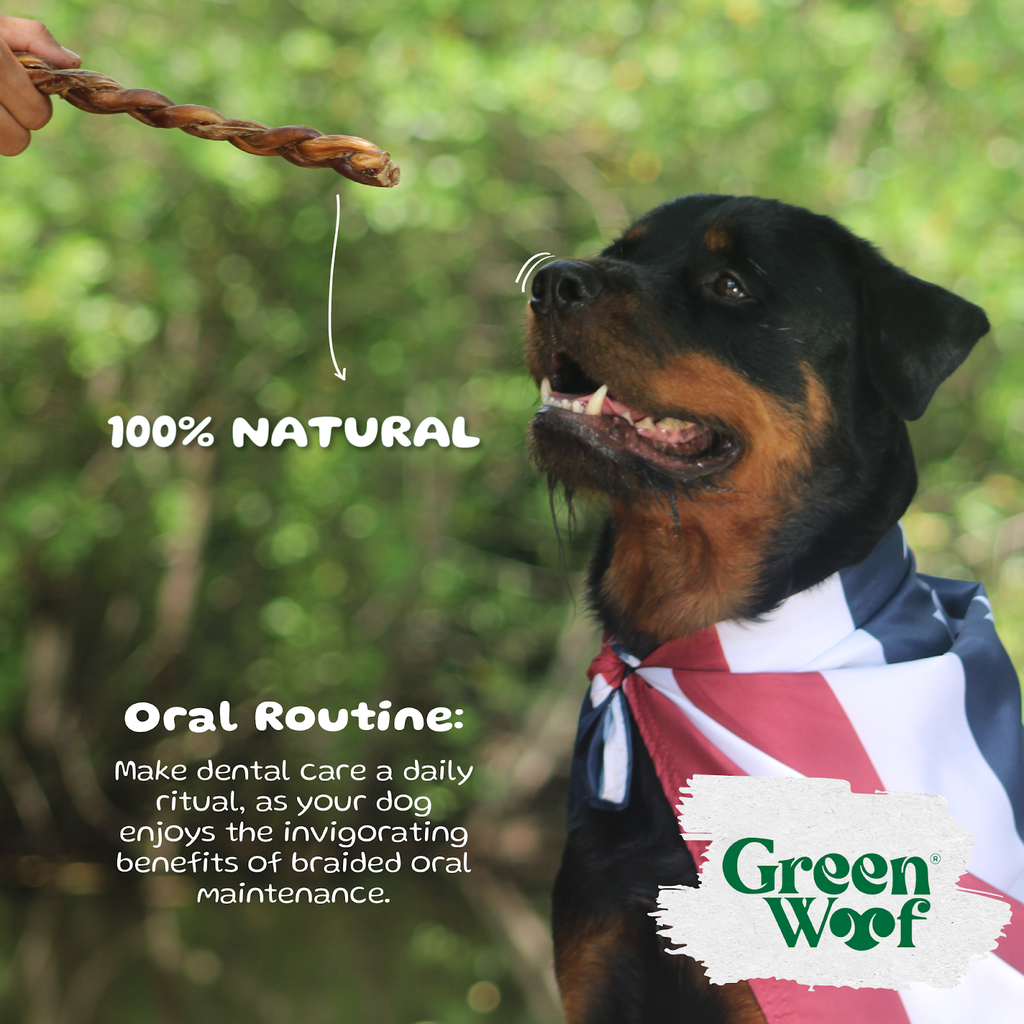 Braided Bully Sticks for Dogs, 9" – Natural Beef Chew (5 Pack)
