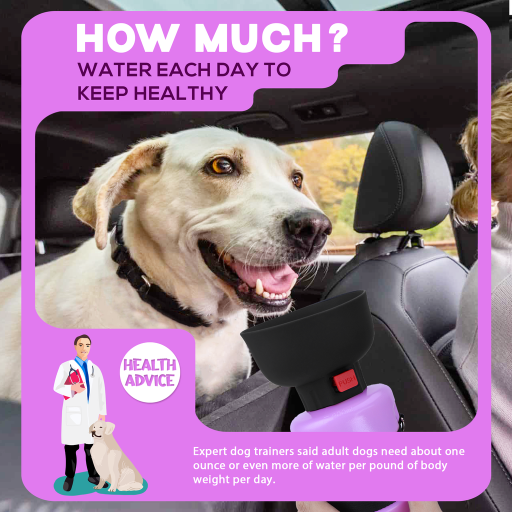 28oz Portable Dog Water Bottle Dispenser-3Gen-1