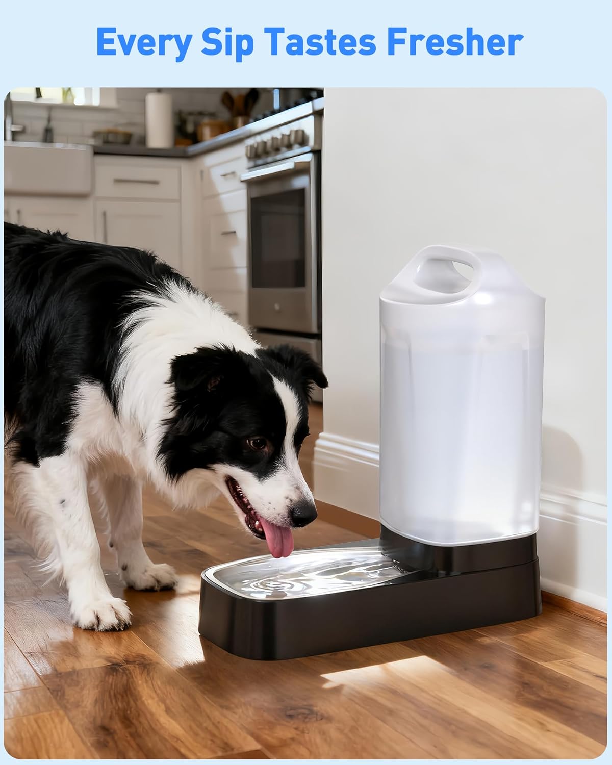 4 Pack Gravity Dog Water Dispenser Filters Replacement-4